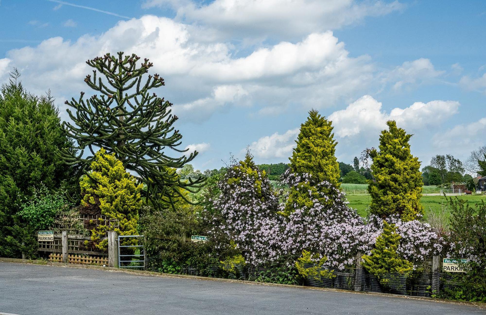 Upside Down House - Sleeps Up To 6 Guests - Great For Family And Friends Gatherings,Corporate Events ,Near Sherwood Forest At Fairview Farm In Nottingham Set In 88 Acres 外观 照片